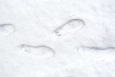 Similar image 7644426