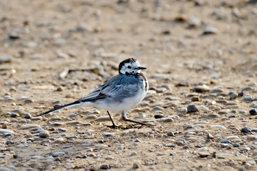 Similar image 7644449