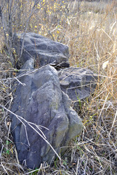 Similar image 7644570