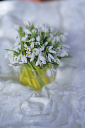 Similar image 7644657