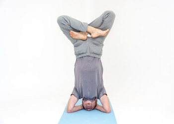 Similar image 7644775