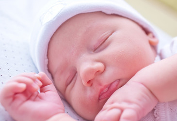 Similar image 7645248