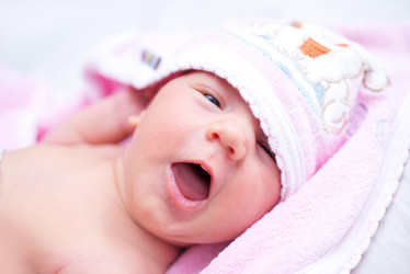 Similar image 7645249