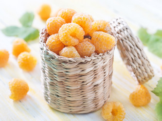 Similar image 7645279