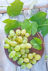 Similar image 7645294