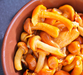 Similar image 7645513