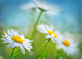 Similar image 7645555