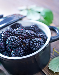 Similar image 7645681