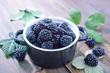 Similar image 7645693