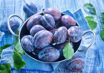 Similar image 7645707