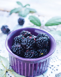 Similar image 7645852