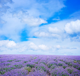 Similar image 7645886