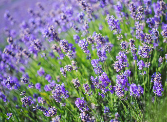 Similar image 7645889