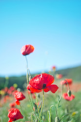 Similar image 7646002