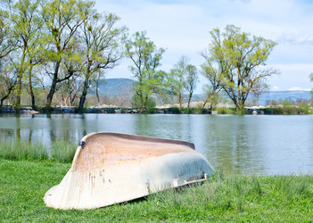 Similar image 7646015