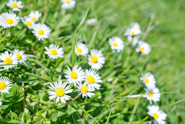 Similar image 7646029