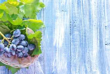 Similar image 7646122