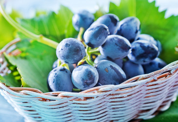 Similar image 7646134