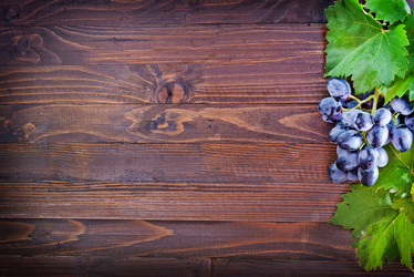 Similar image 7646147