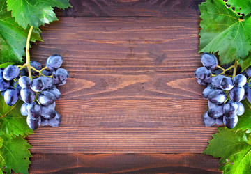 Similar image 7646149