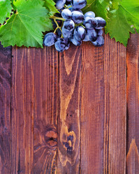 Similar image 7646150