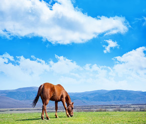 Similar image 7646266