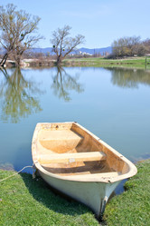 Similar image 7646267