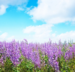 Similar image 7646404