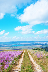 Similar image 7646415