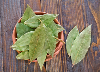 Similar image 7646439