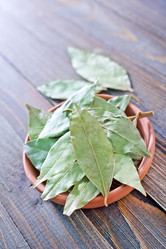 Similar image 7646440