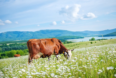 Similar image 7646458