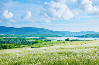 Similar image 7646462