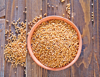 Similar image 7646466