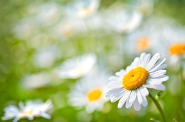 Similar image 7646474