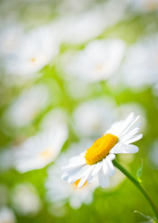 Similar image 7646475