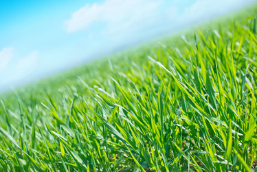 Similar image 7646486