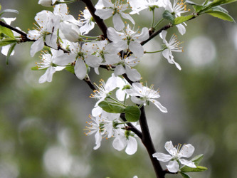 Similar image 7646729