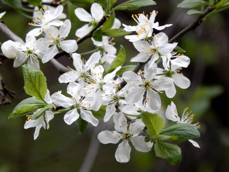 Similar image 7646730