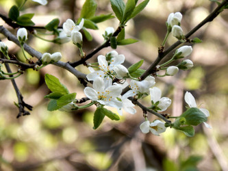 Similar image 7646731