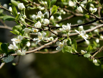 Similar image 7646732