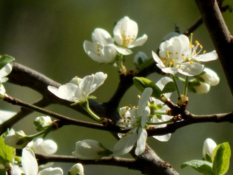 Similar image 7646733