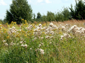 Similar image 7646906