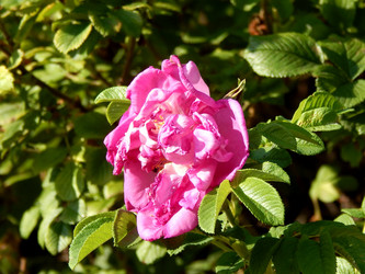 Similar image 7646909