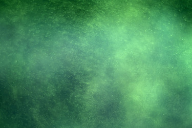 Similar image 7646992