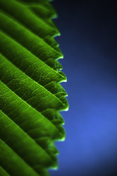 Similar image 7647007