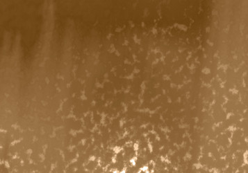 Similar image 7647009