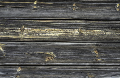 Similar image 7647016