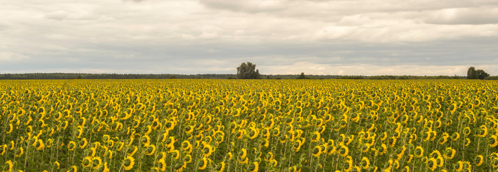 Similar image 7647020