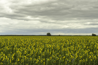 Similar image 7647021